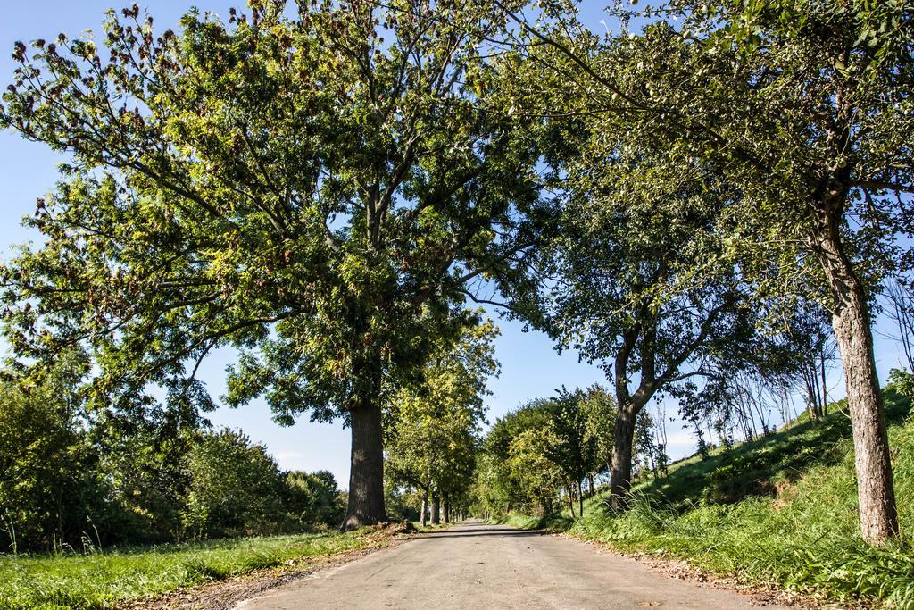 Habitación Económica