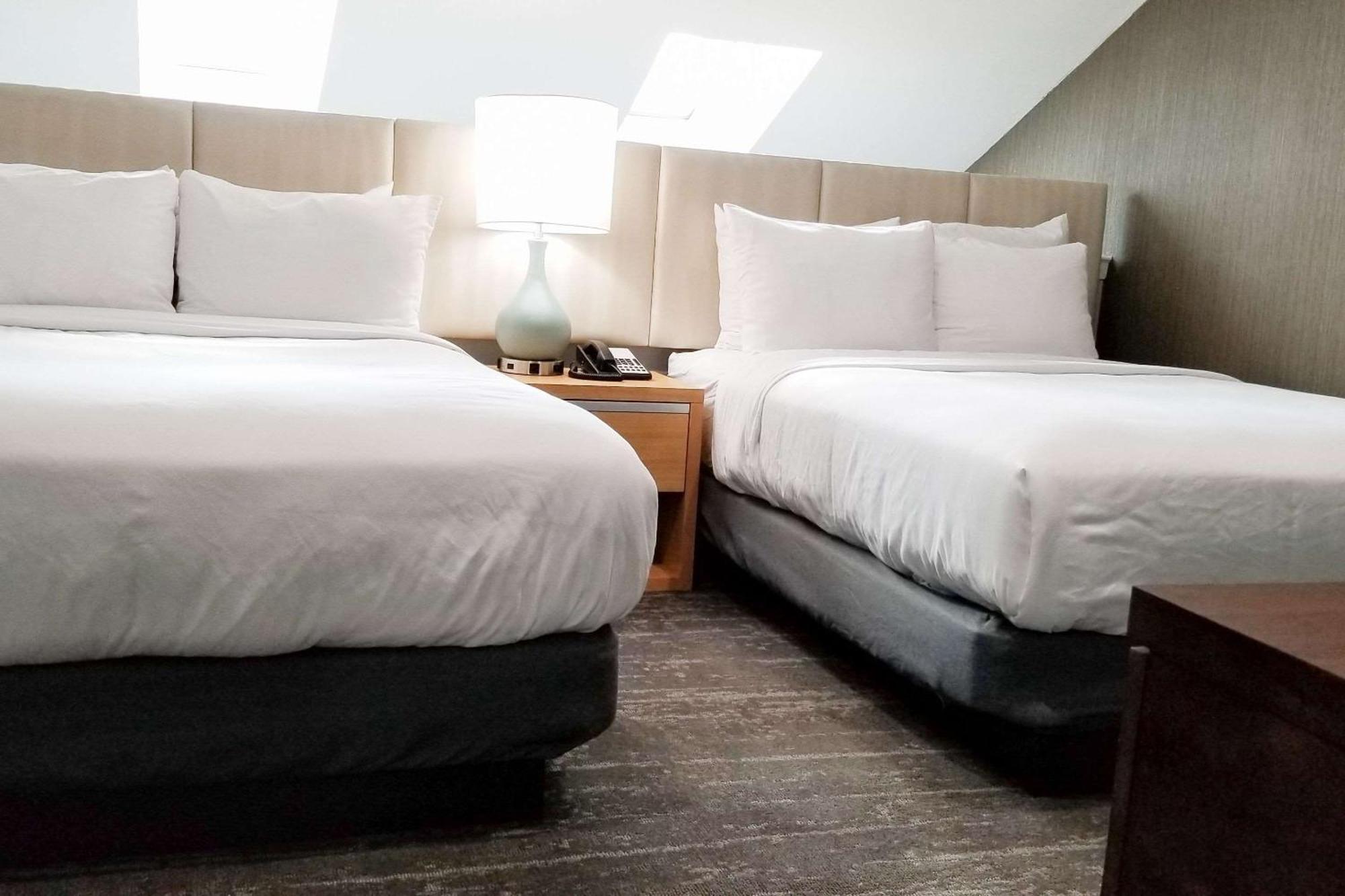 Presidential Suite,1280907793:JPEG