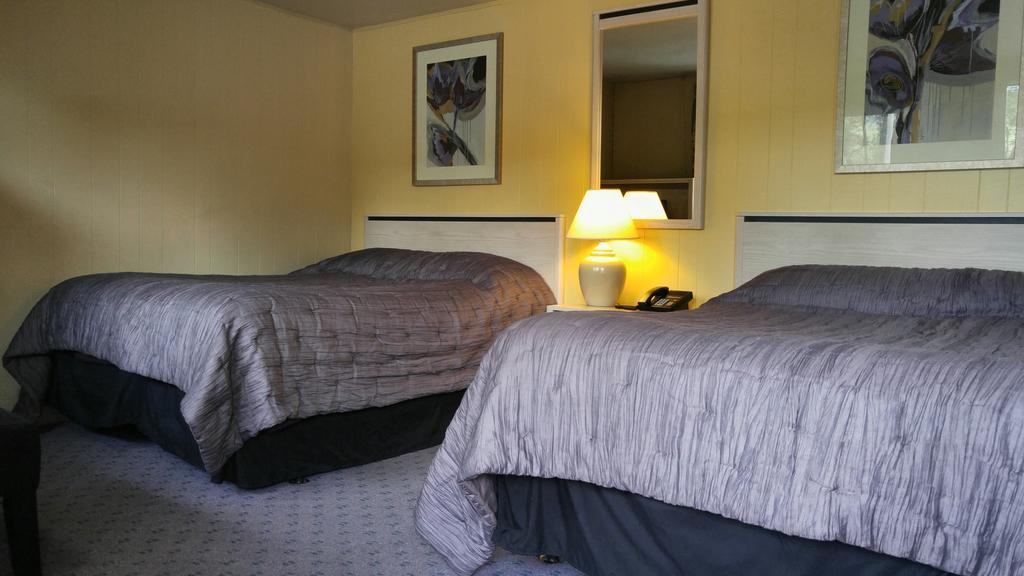 Standard Double Room,183583851:JPEG