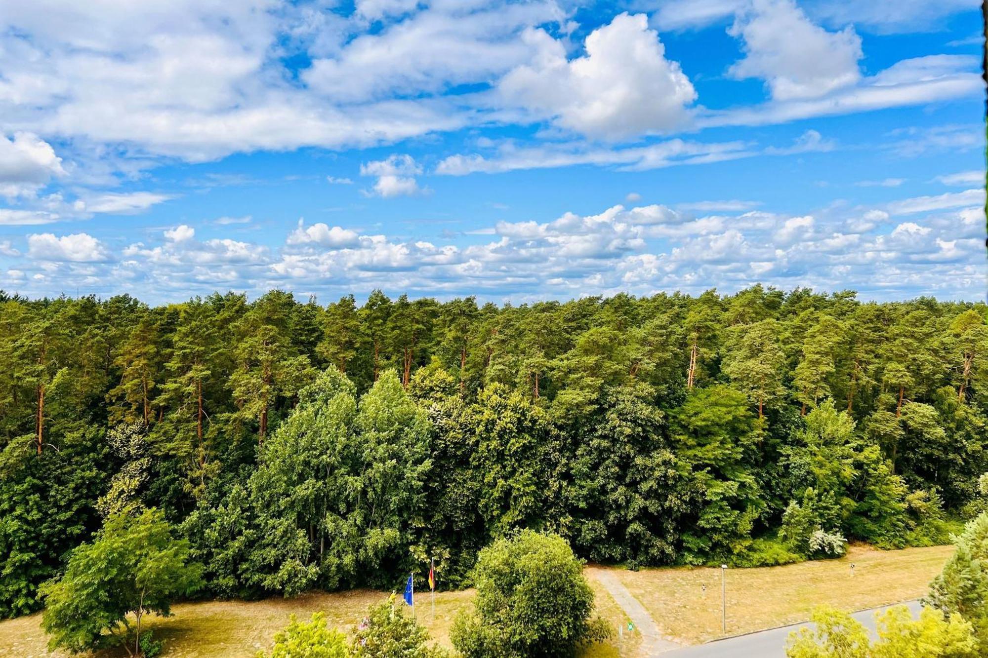 Panorama Studio mit Waldblick