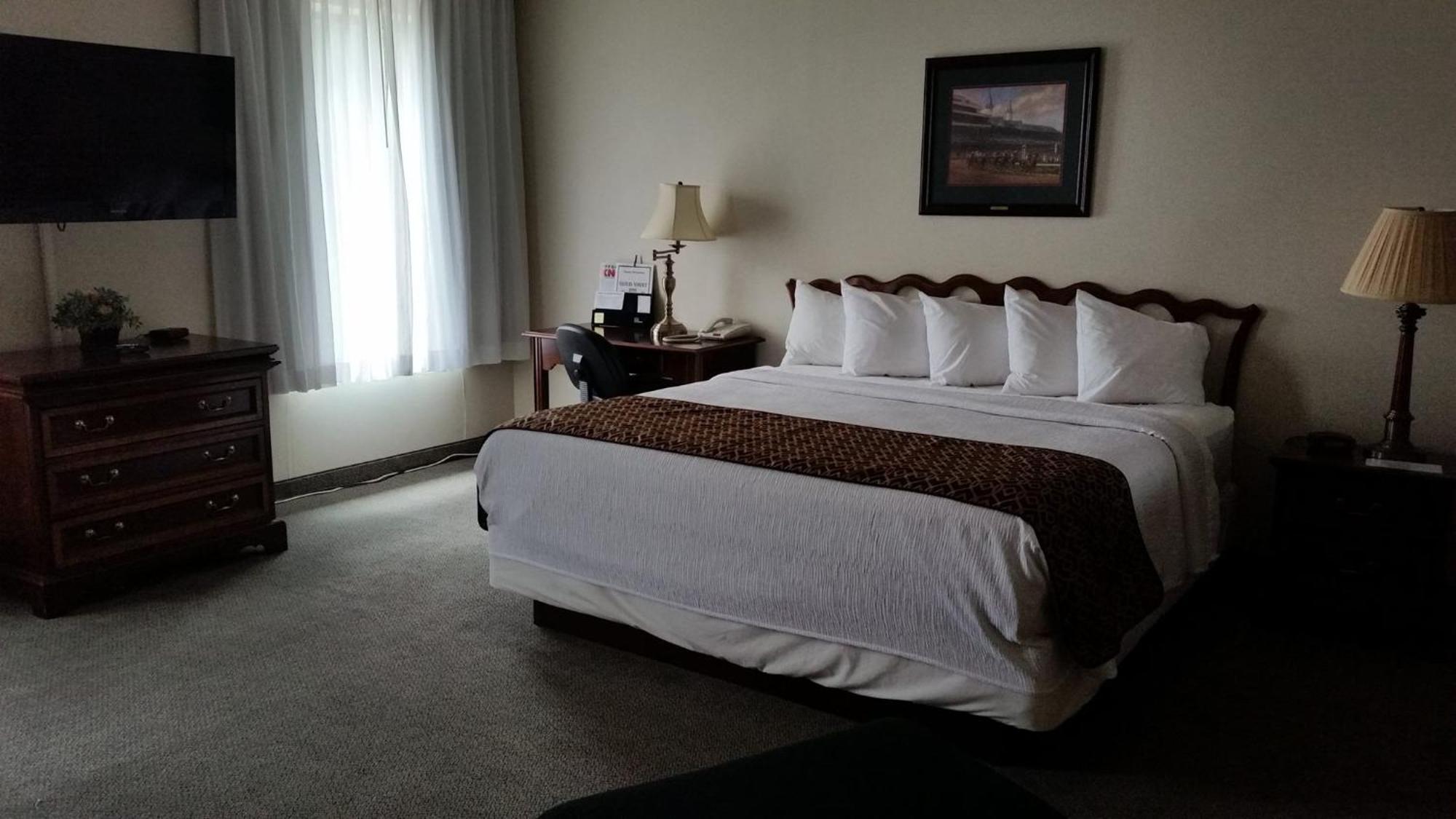 Single Room,1604060508:JPEG