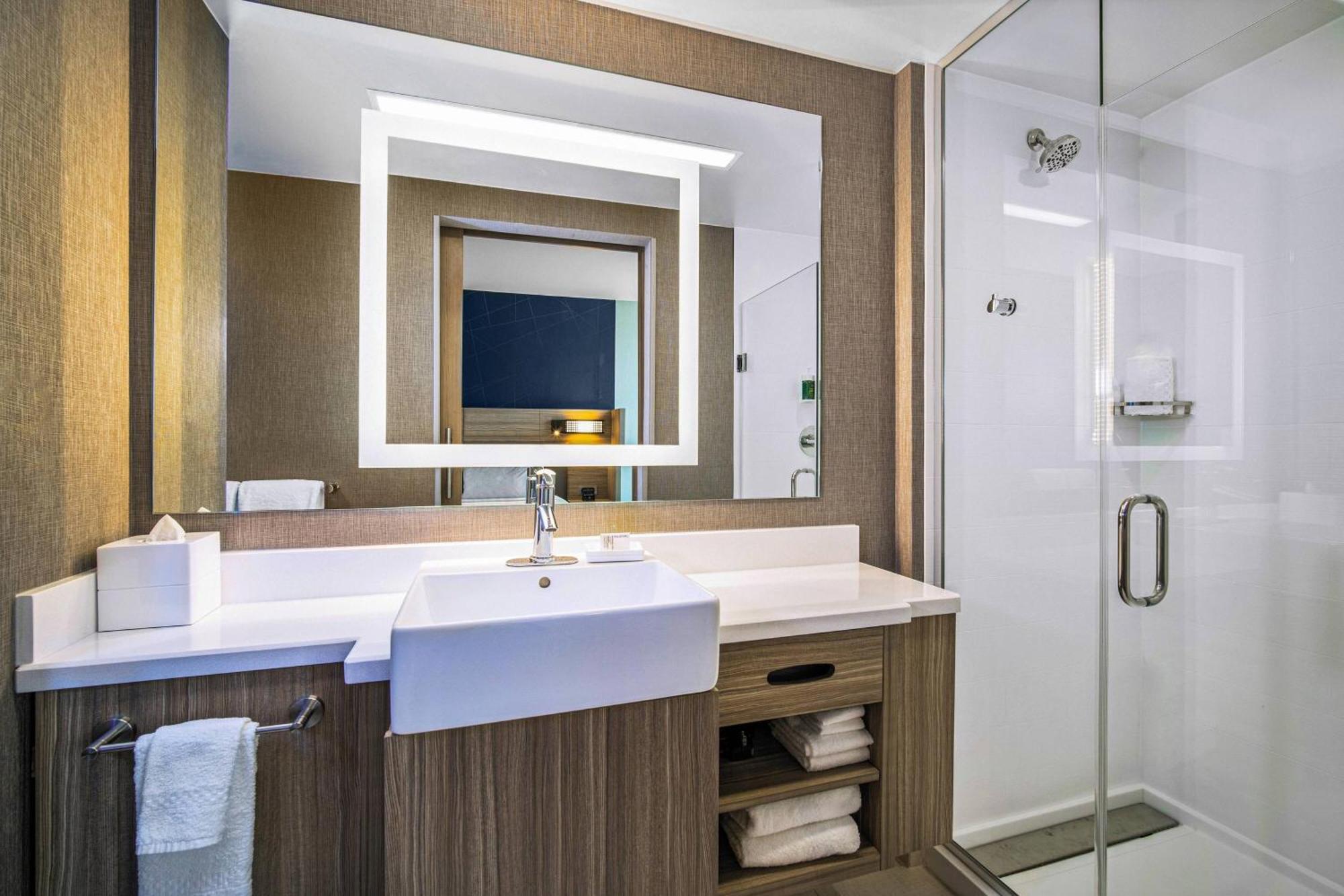 King Suite with Roll-In Shower and Trundle Sofa - Mobility Access/Communication Assistance,1633724018:JPEG