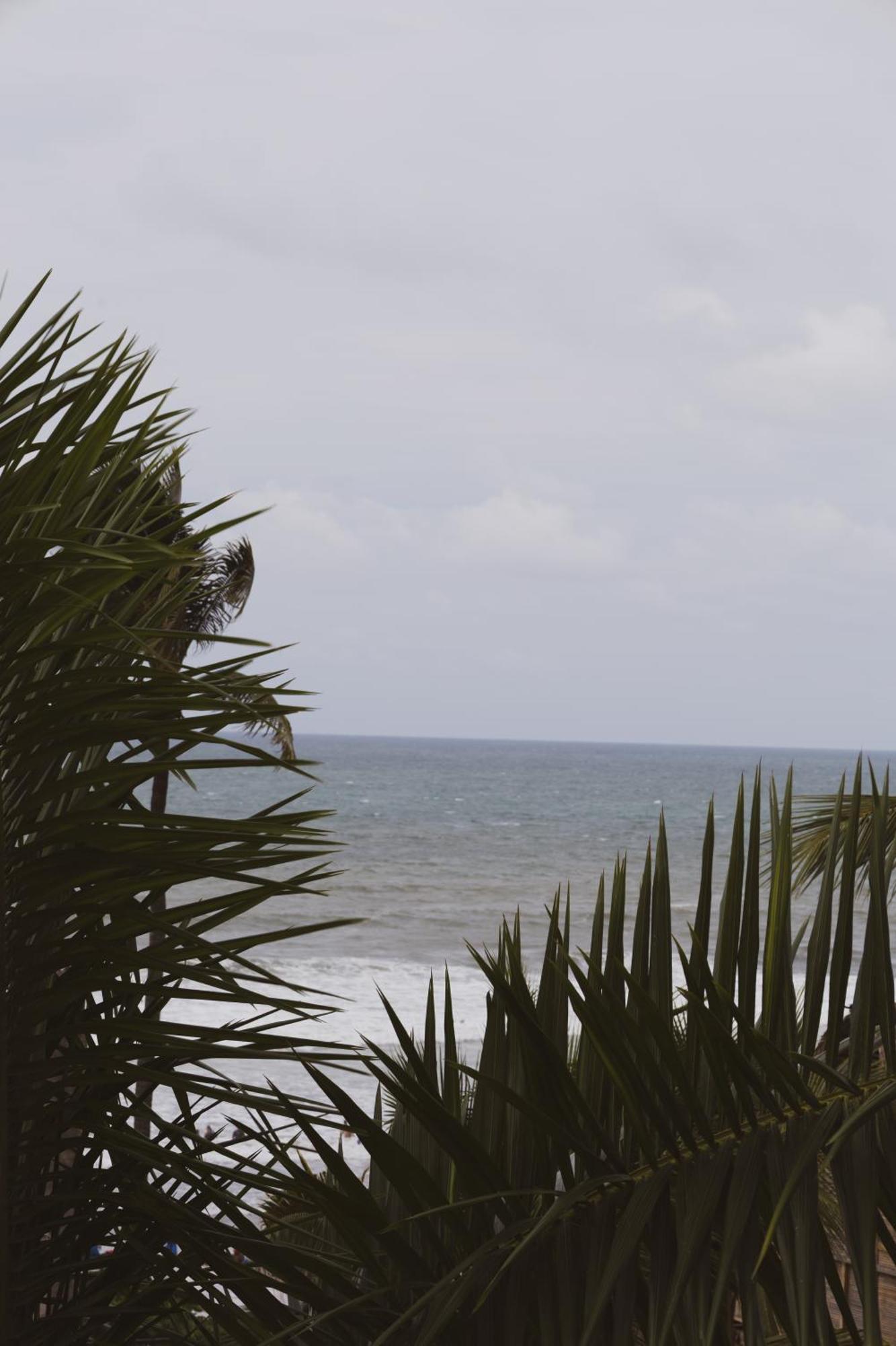 Double Room with Balcony and Sea View,1714091782:JPEG