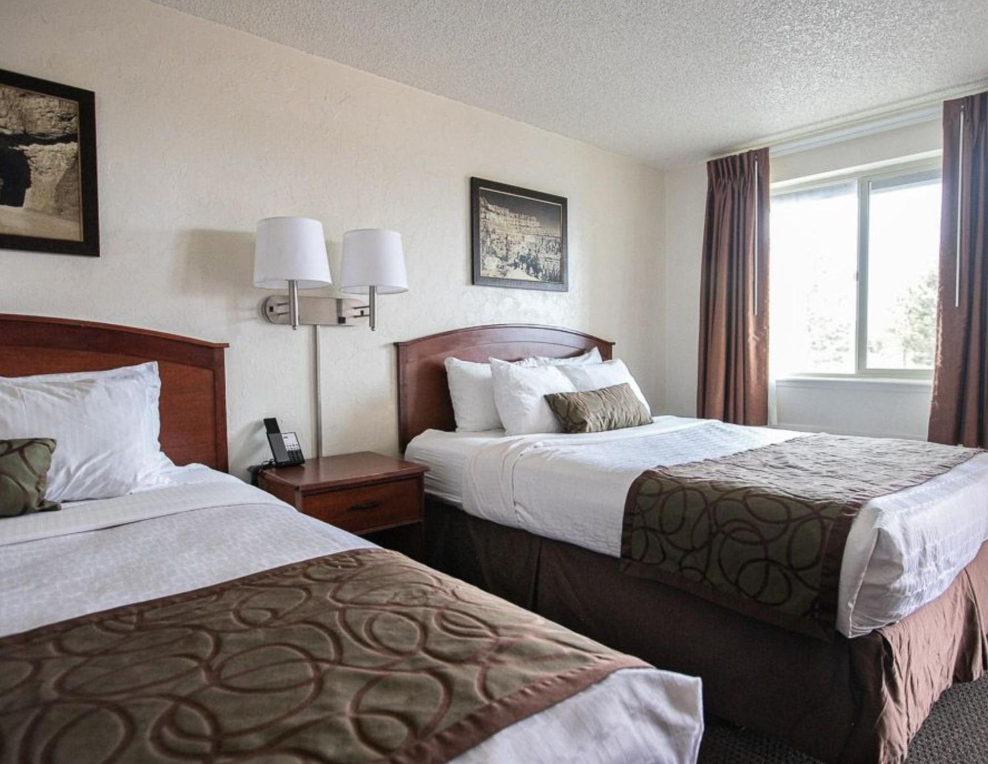 Standard Queen Room,1756516851:JPEG