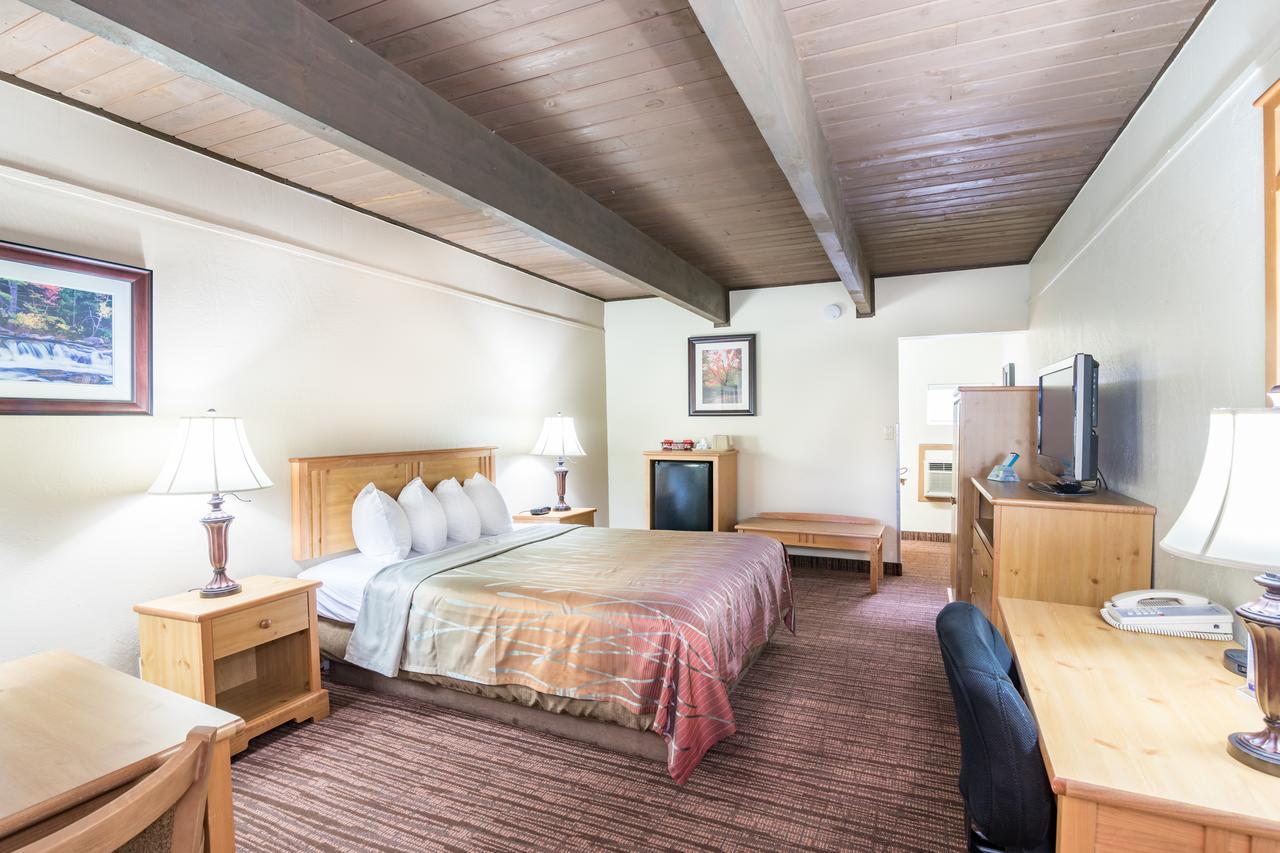 Single Room,656585586:JPEG