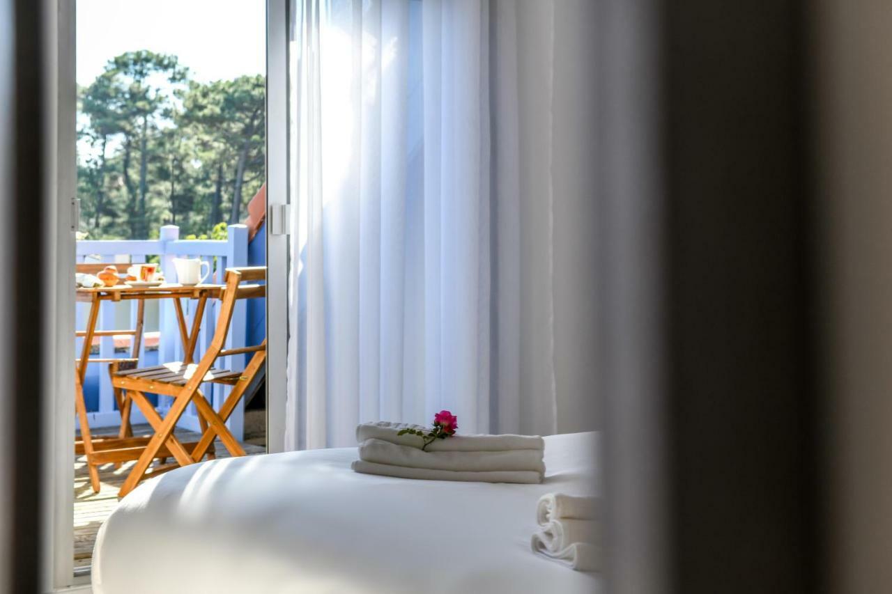 Superior Double or Twin Room with Terrace,784269084:JPEG