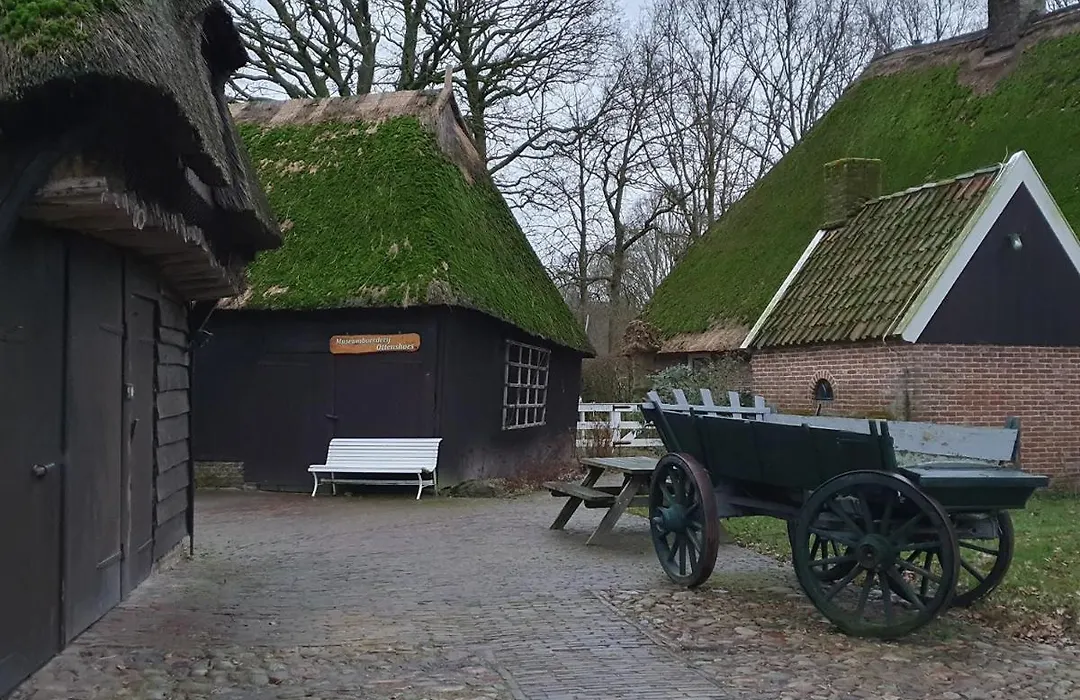 B&B Drenthe-1