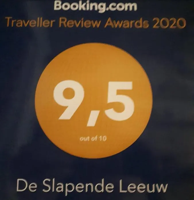 De Slapende Leeuw-1