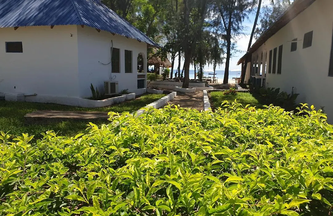 Nungwi Inn Beach Cottages-1