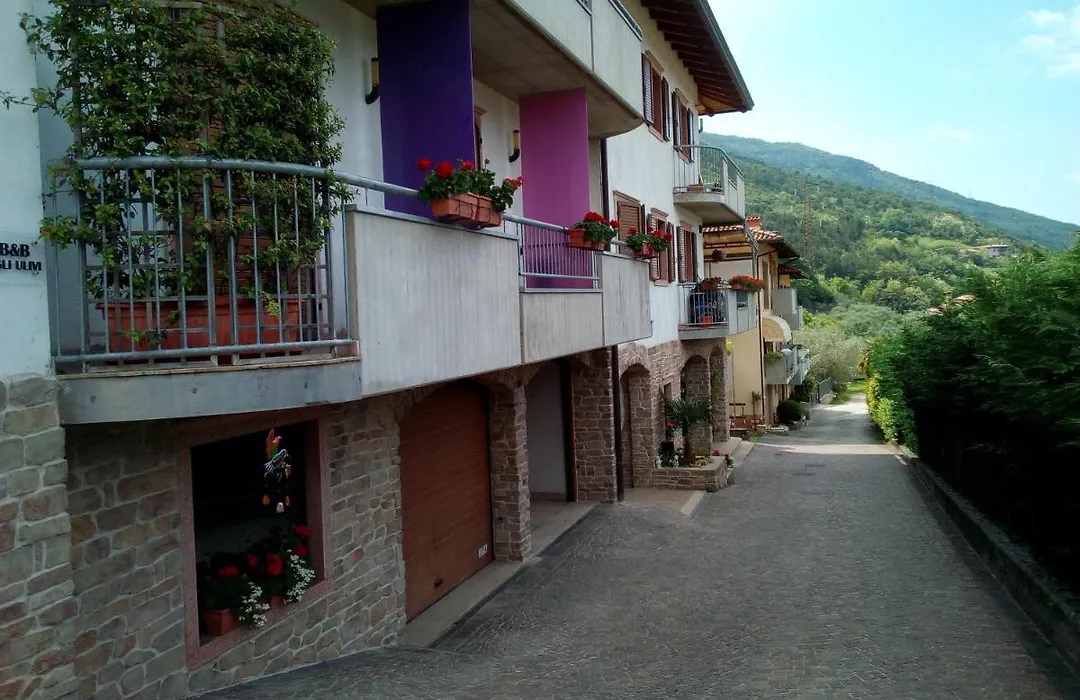 B&B agli Ulivi-1