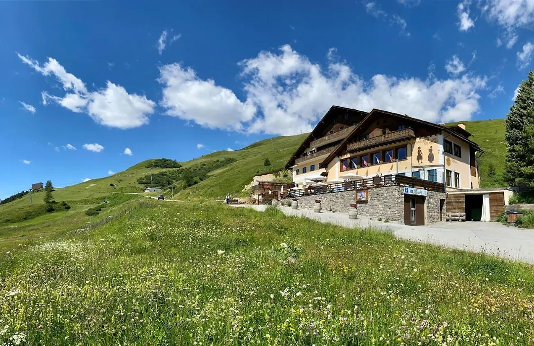 Hotel Salastrains-1