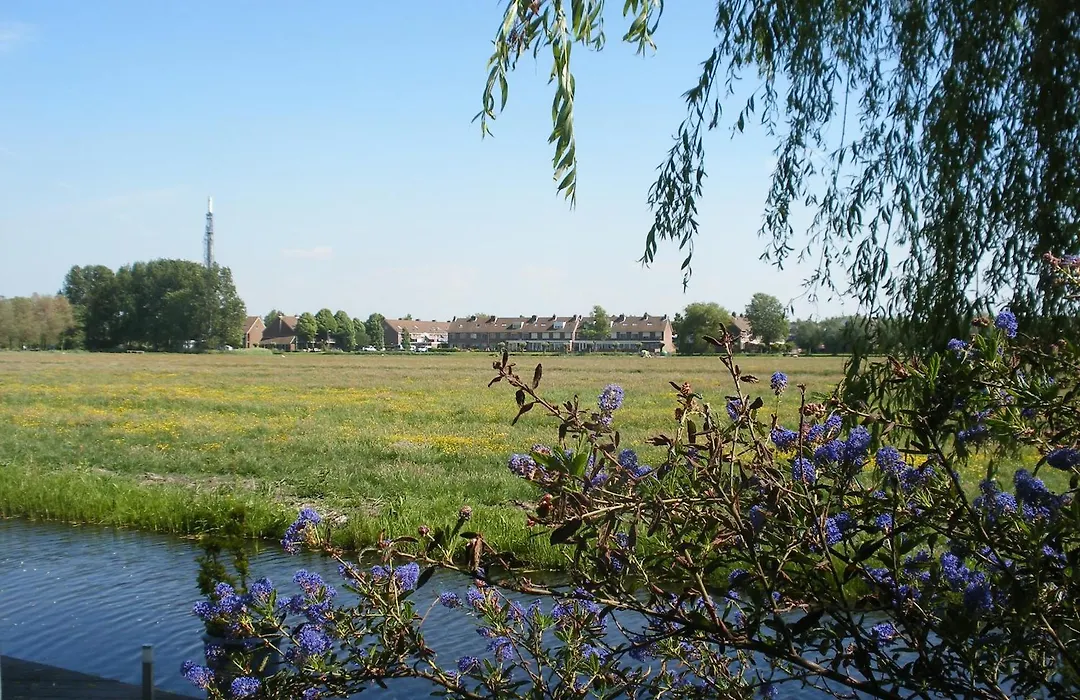 B&B-Edam-1