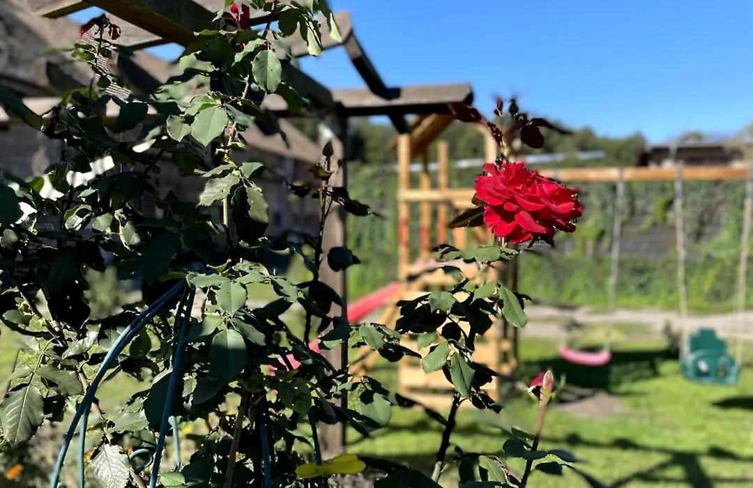 Eichenhof Hotel Garni-1
