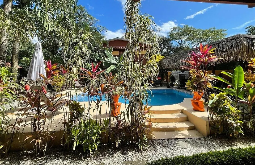 Samara Palm Lodge-1