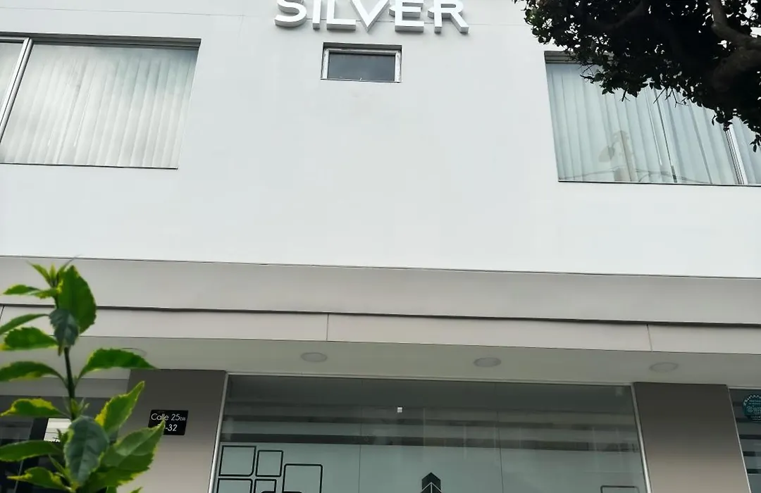 Hotel Wlh Silver Corferias-1