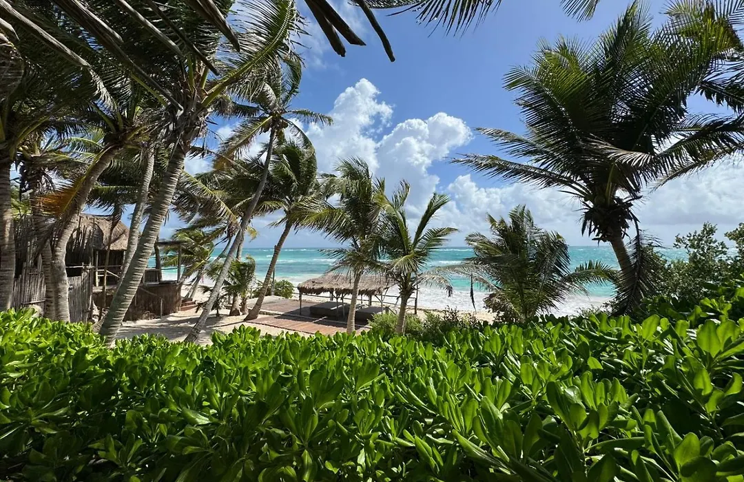 Art Village Tulum-1