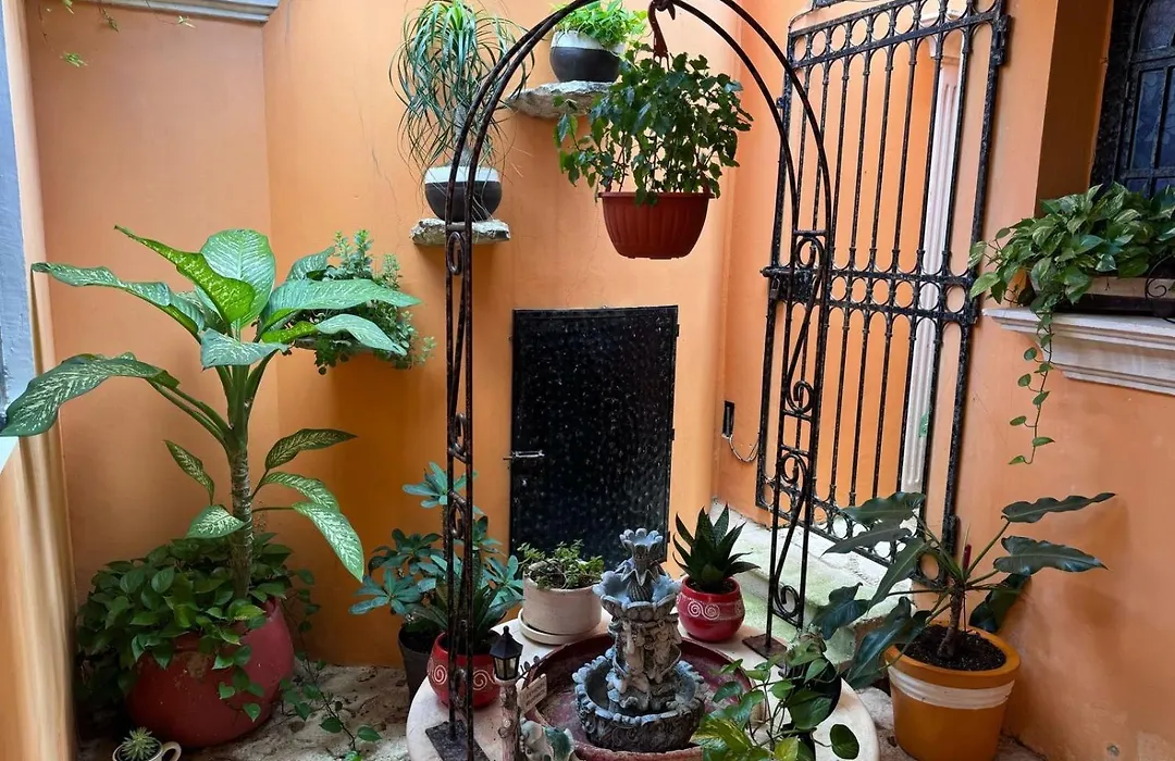 Hotel Casa Mallorca-1