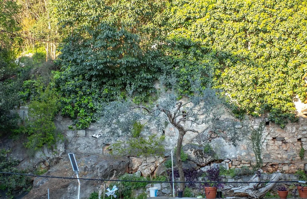 Anchi Guesthouse-1
