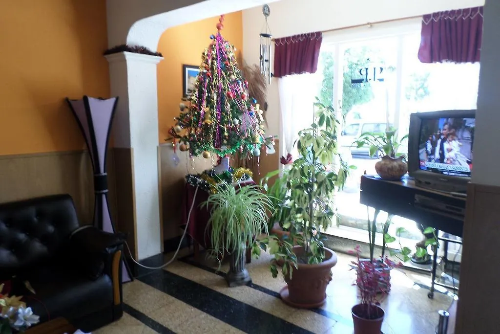 Hotel Pino-1