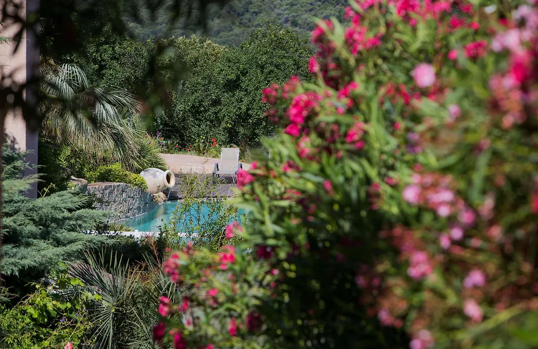 Best Western Plus San Damianu-1