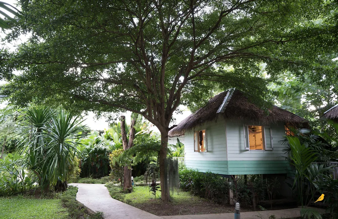 Canary Guesthouse-1