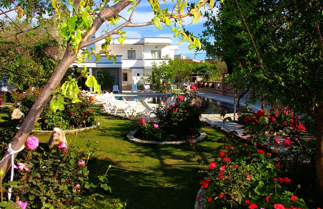 Hotel Dimitra Sun-1