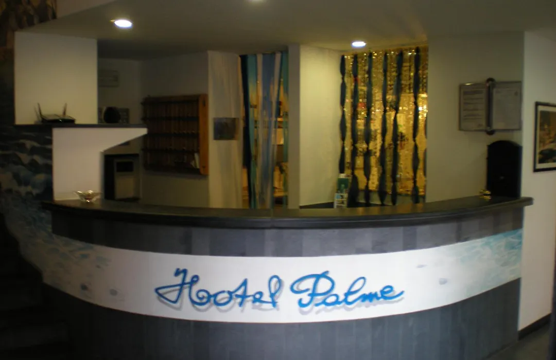 Hotel Palme-1