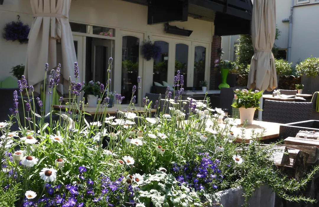 Duinberk B&B hotel en Brasserie-1
