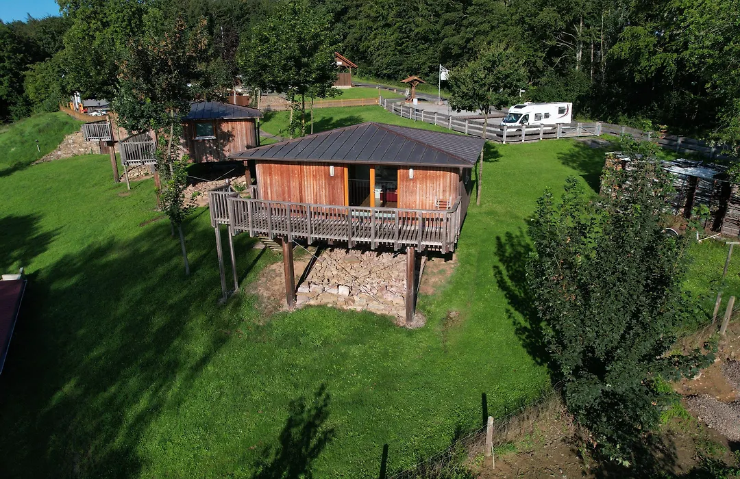 Hotel Waldquelle - Baumhaushotel Aerzen-1