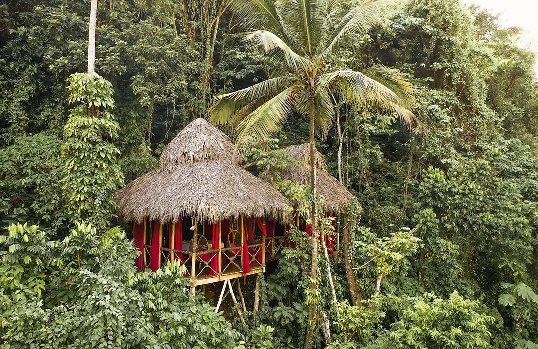 Tree House Village - Waterfall-1