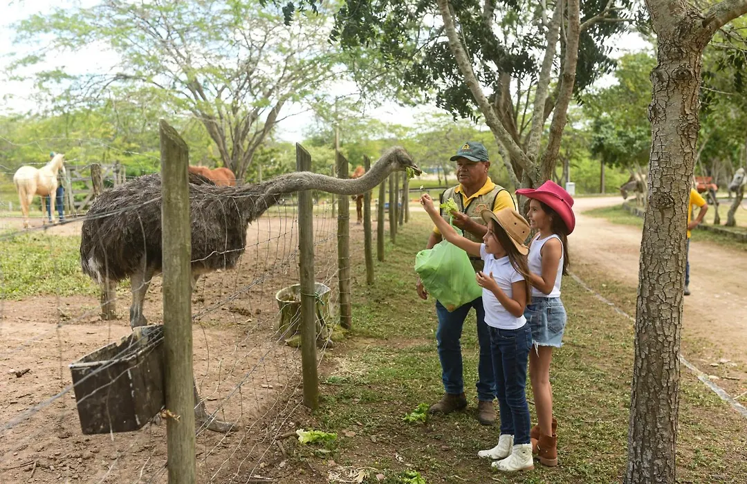 Pousada Fazenda Santa Fe-1