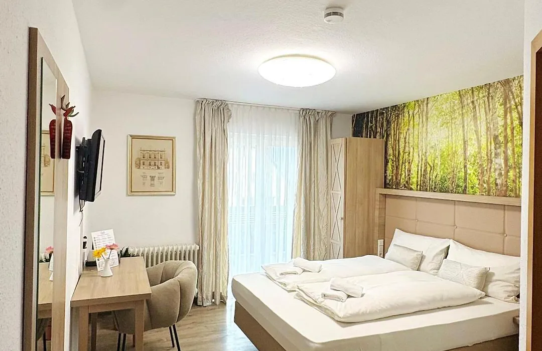 Hotel Rheintal-1
