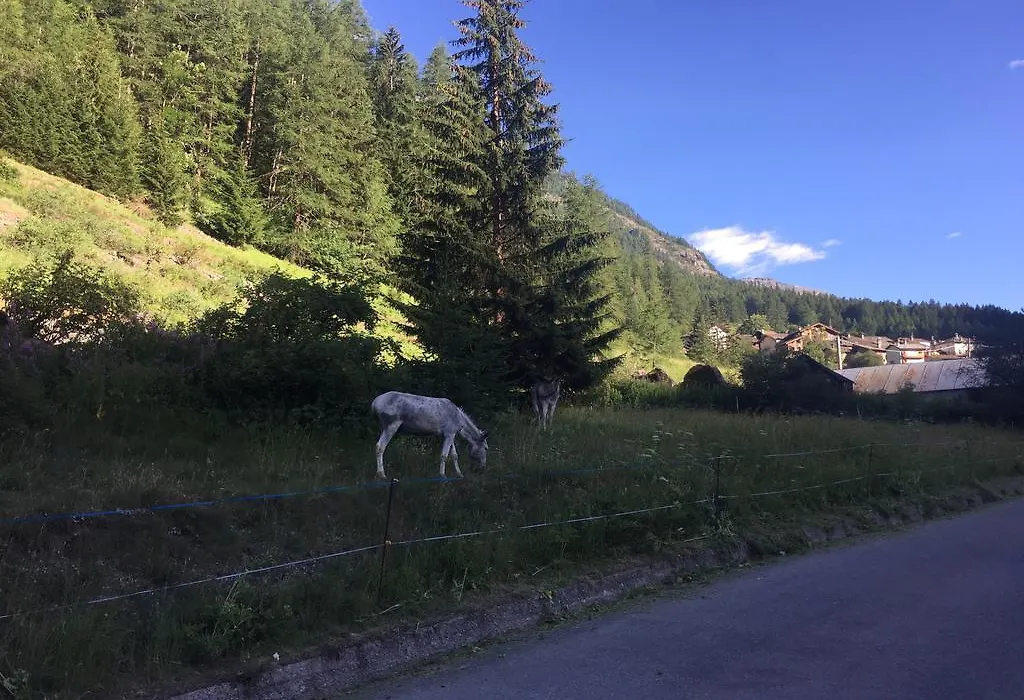 Hotel Camping Grivola-1