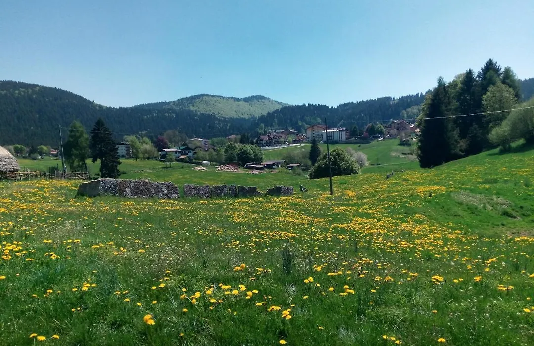 Hotel Belvedere-1