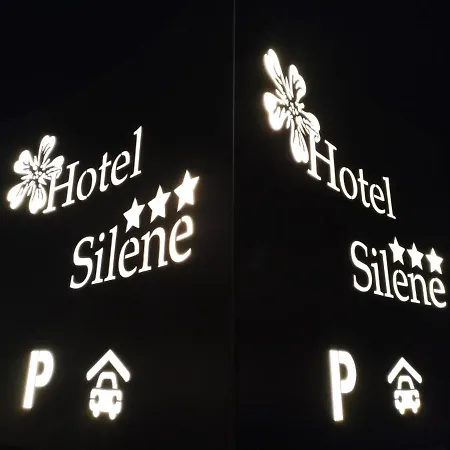 Hotel Silene Parking And Garage-3