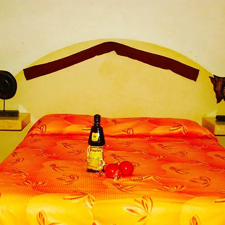Hotel Chapul Inn-2