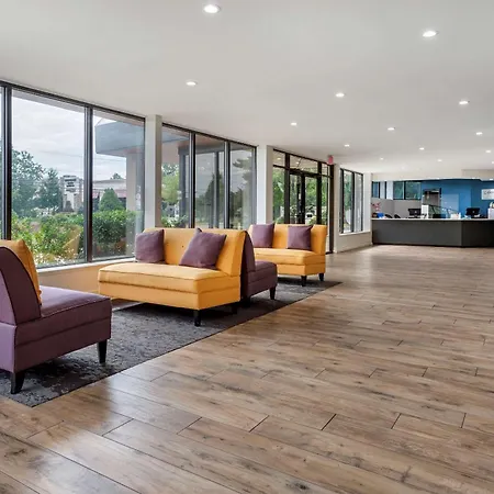 Somerset Lofts-3