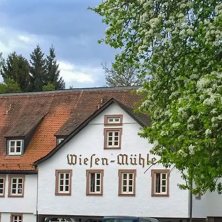 Hotel Brauhaus Wiesenmühle-3