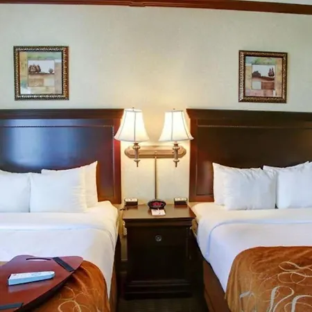Comfort Suites University Drive-2