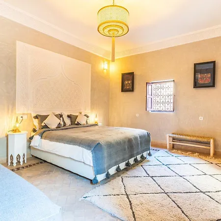 Riad Jolie-2