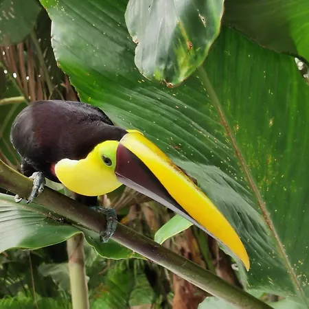Villa Tucan-3
