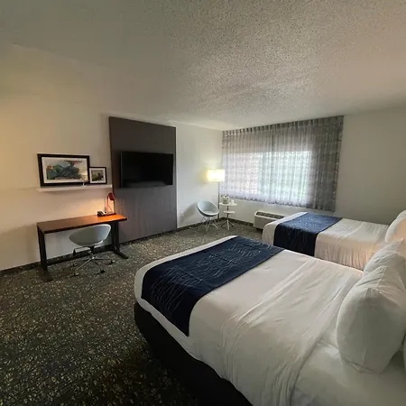 Saint Louis Airport Hotel-3