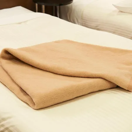 Sotetsu Fresa Inn Osaka Shinsaibashi-3