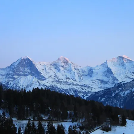 Alpina Hotel-3