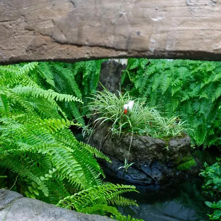 Hotel Castel-3