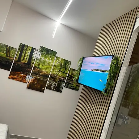Jungle Room-3