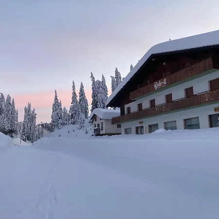 Hotel Dolomiti Des Alpes-3