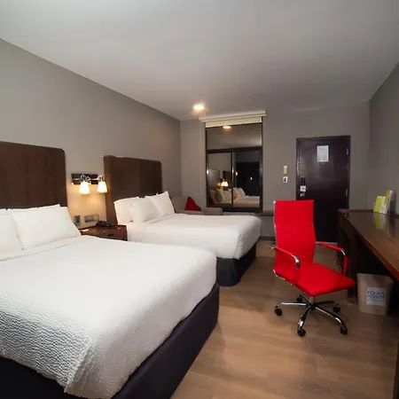 Four Points By Sheraton Saltillo-3