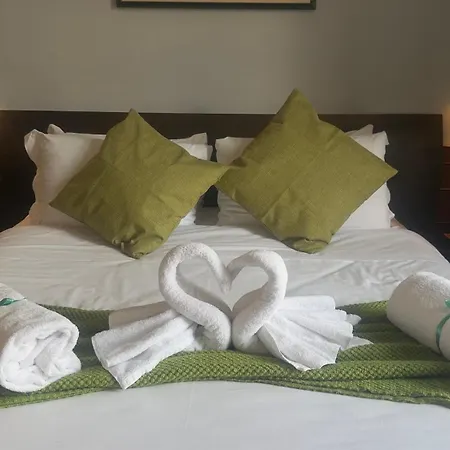 Romalive Hotel-2