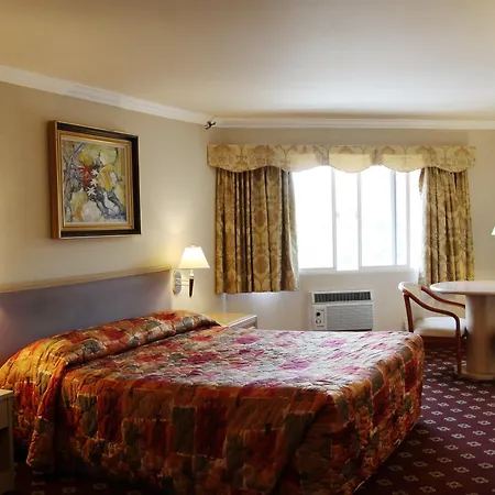 Metro Plaza Hotel-3